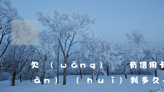 欠網(wǎng)貸還有信用卡十幾萬(wàn)會(huì)判多久-欠網(wǎng)貸還有信用卡十幾萬(wàn)會(huì)判多久呢