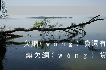 欠網(wǎng)貸還有幾千塊還不上怎么辦(欠網(wǎng)貸還有幾千塊還不上怎么辦)