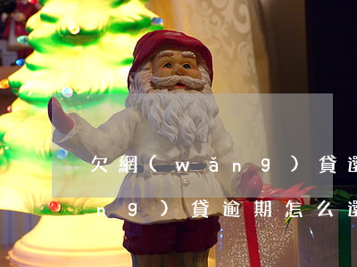 欠網(wǎng)貸還本金怎么辦(網(wǎng)貸逾期怎么還本金)