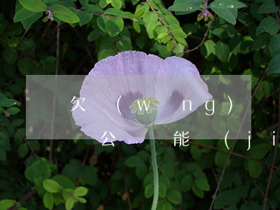 欠網(wǎng)貸還款到對公賬號可以嗎(對公賬戶能結(jié)清網(wǎng)貸嘛)