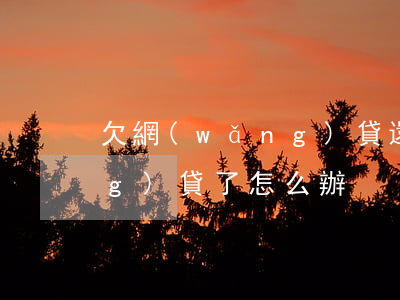 欠網(wǎng)貸還款妙招(欠網(wǎng)貸了怎么辦)