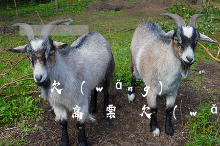 欠網(wǎng)貸還沒(méi)還可以買高鐵票嗎(欠網(wǎng)貸坐高鐵會(huì)被捉嗎)