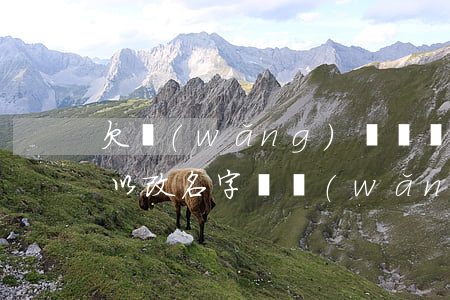 欠網(wǎng)貸還沒(méi)還清可以改名字嗎(網(wǎng)貸我欠了好幾個(gè)忘記名字了怎么辦)