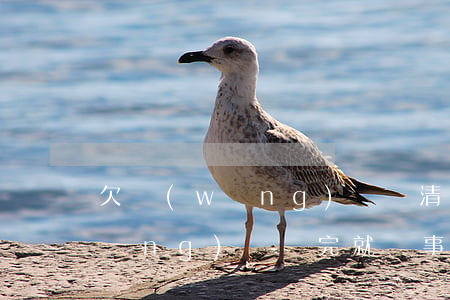 欠網(wǎng)貸還清后又下水(欠網(wǎng)貸還完就沒事了是吧)