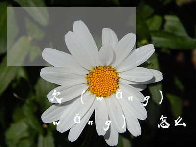 欠網(wǎng)貸還清后怎么處理(欠網(wǎng)貸怎么還款)