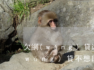 欠網(wǎng)貸還能出去玩嗎(欠了網(wǎng)貸不想回家)