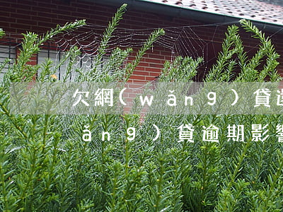 欠網(wǎng)貸還能出國工作嗎(網(wǎng)貸逾期影響出國嗎)
