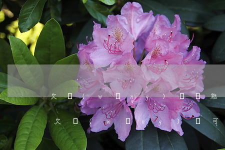 欠網(wǎng)貸還能去上市公司上班嗎(欠網(wǎng)貸可以去大公司上班嗎)