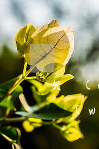 欠網(wǎng)貸還能去銀行貸款么(欠了網(wǎng)貸還可以去銀行借錢嗎)