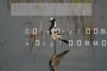 欠網(wǎng)貸還能租車使用嗎(欠網(wǎng)貸還能租車使用嗎)
