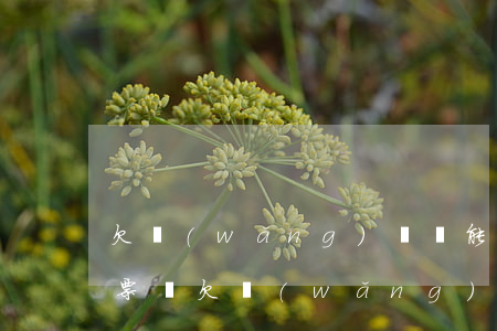 欠網(wǎng)貸還能買(mǎi)火車票嗎(欠網(wǎng)貸買(mǎi)車票會(huì)被知道嗎)