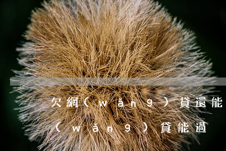 欠網(wǎng)貸還能買車過戶嗎(欠了網(wǎng)貸能過戶車子嗎)