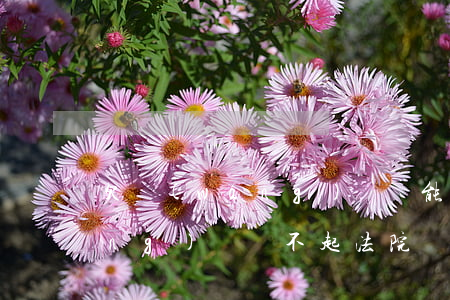 欠網(wǎng)貸還能賣房子嗎(網(wǎng)貸還不起法院會(huì)強(qiáng)制賣房子嗎)