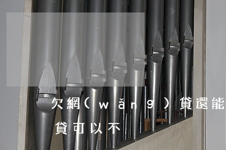欠網(wǎng)貸還能跑滴滴(跑滴滴還車貸可以不)