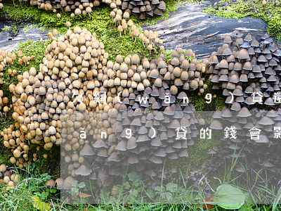 欠網(wǎng)貸還能車貸嗎(欠了網(wǎng)貸的錢會影響車貸嗎)