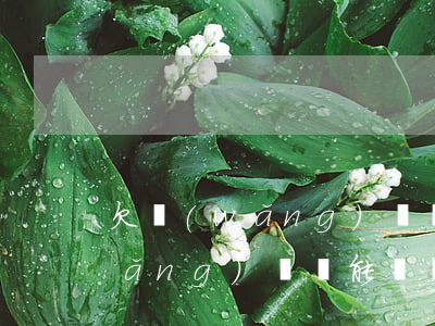 欠網(wǎng)貸還能辦車貸嗎(有網(wǎng)貸還能辦車貸嗎)