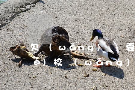 欠網(wǎng)貸還要查我孩子學(xué)校(網(wǎng)貸逾期會(huì)找到孩子的學(xué)校嗎)