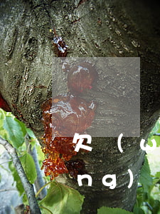 欠網(wǎng)貸還還會怎樣(欠網(wǎng)貸如何還清)