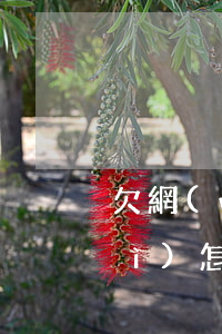 欠網(wǎng)貸還錢還被起訴會(huì)怎么辦(欠網(wǎng)貸被起訴后還了錢還是老賴嗎)