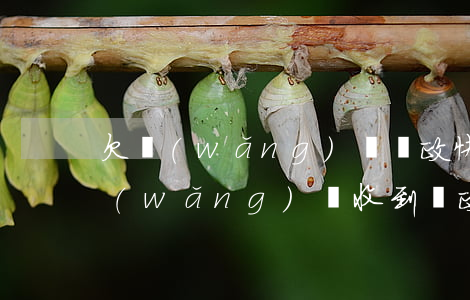 欠網(wǎng)貸郵政快遞要不要收(欠網(wǎng)貸收到郵政寄來(lái)的傳票是真的嗎?)
