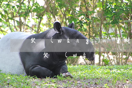 欠網(wǎng)貸重新辦一張銀行卡能用嗎(欠網(wǎng)貸去銀行辦卡有影響嗎)