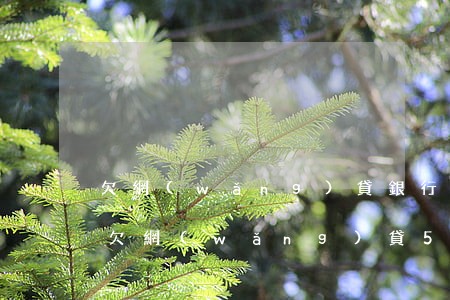 欠網(wǎng)貸銀行50萬(wàn)(欠網(wǎng)貸50萬(wàn)我該怎么辦)