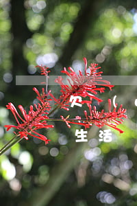 欠網(wǎng)貸銀行卡凍結(jié)生活費怎么辦-欠網(wǎng)貸銀行卡被凍結(jié)之后怎么辦