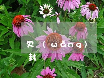 欠網(wǎng)貸銀行卡會(huì)被封嗎