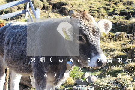 欠網(wǎng)貸銀行卡有錢會凍結(jié)嗎(欠網(wǎng)貸會凍結(jié)銀行卡嗎?)