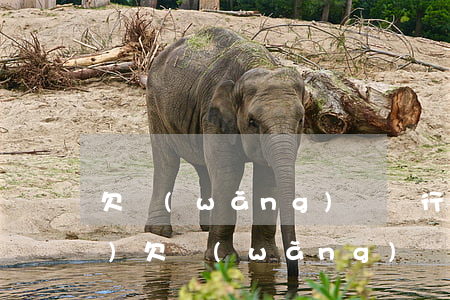 欠網(wǎng)貸銀行卡注銷(xiāo)(欠網(wǎng)貸錢(qián)號(hào)碼卡注銷(xiāo)會(huì)怎么樣)