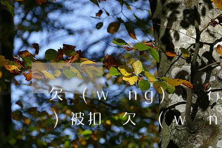 欠網(wǎng)貸銀行卡的錢會(huì)被扣嗎(欠網(wǎng)貸會(huì)扣其他銀行卡的錢嗎)
