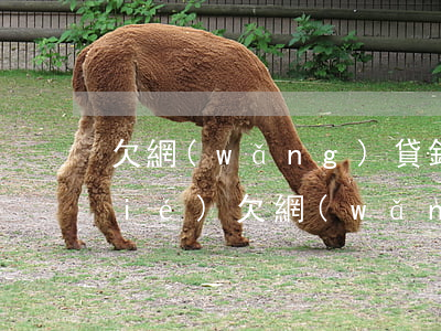 欠網(wǎng)貸銀行卡被司法凍結(jié)(欠網(wǎng)貸司法凍結(jié)個(gè)人銀行卡)