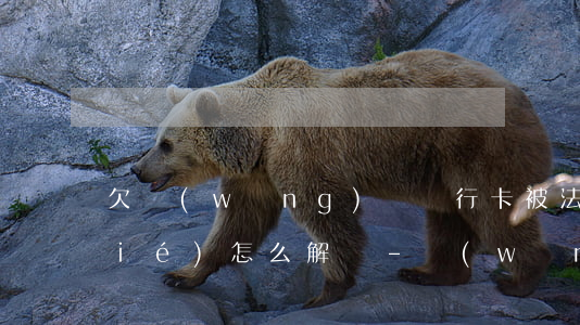 欠網(wǎng)貸銀行卡被法院凍結(jié)怎么解凍-網(wǎng)貸逾期被法院凍結(jié)銀行卡該怎么辦