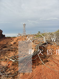 欠網(wǎng)貸銀行卡貸人死后怎么處理(欠信用卡網(wǎng)貸人死了會連累家人嗎)