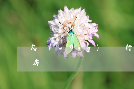 欠網(wǎng)貸銀行還會(huì)批房貸嗎