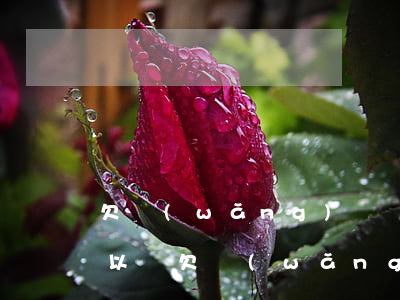 欠網(wǎng)貸錢(qián)不還可以嗎(欠網(wǎng)貸錢(qián)不還可以嗎)