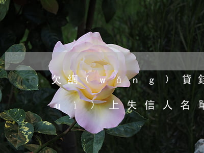 欠網(wǎng)貸錢(qián)會(huì)上失信人名單嗎(網(wǎng)貸不還會(huì)上失信人員名單嗎?)