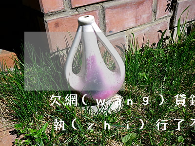 欠網(wǎng)貸錢(qián)被法院執(zhí)行了不還怎么辦-欠網(wǎng)貸錢(qián)被法院執(zhí)行了不還怎么辦呢