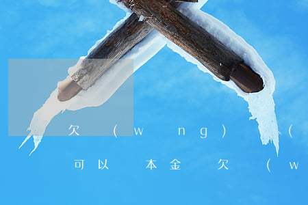 欠網(wǎng)貸錢(qián)還不上可以還本金嗎(欠網(wǎng)貸錢(qián)還不上可以還本金嗎)
