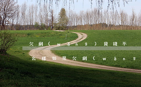 欠網(wǎng)貸錢不換會(huì)怎么樣(如果欠網(wǎng)貸不還有什么后果)