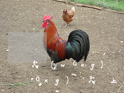 欠網(wǎng)貸錢不還上門找嗎(網(wǎng)貸欠錢上門怎么辦)
