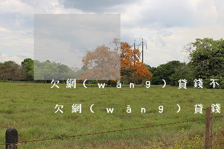 欠網(wǎng)貸錢不還怎么封了信用卡(欠網(wǎng)貸錢不還怎么封了信用卡)