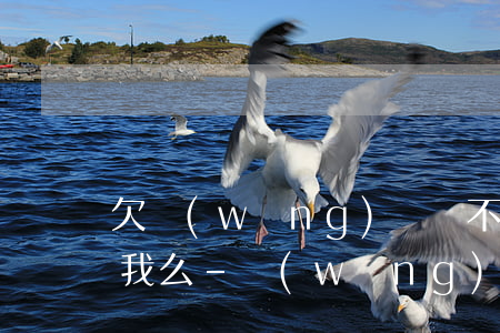 欠網(wǎng)貸錢不還換電話還能找到我么-網(wǎng)貸不還換電話怎么辦