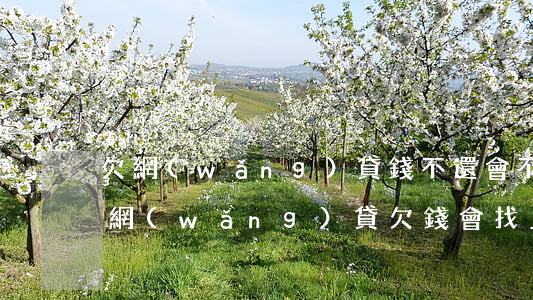 欠網(wǎng)貸錢不還會不會找上門來(網(wǎng)貸欠錢會找上門嗎)