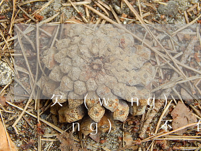 欠網(wǎng)貸錢不還有事嗎(欠網(wǎng)貸錢不還有事嗎)