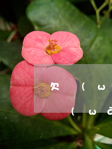 欠網(wǎng)貸錢不還有什么后果嗎(欠網(wǎng)貸不還后果嚴重嗎)