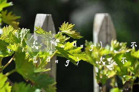 欠網(wǎng)貸錢不還有什么后果(網(wǎng)貸欠錢不還會怎樣)