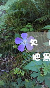 欠網(wǎng)貸錢不還的抖音(抖音說能把黑網(wǎng)貸錢要回來)