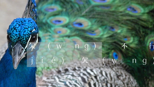 欠網(wǎng)貸錢不還銀行卡會凍結(jié)嗎(欠網(wǎng)貸錢不還銀行卡會凍結(jié)嗎)