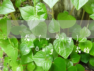 欠網(wǎng)貸錢公安局能查到嗎(網(wǎng)貸欠的錢銀行能查到嗎)